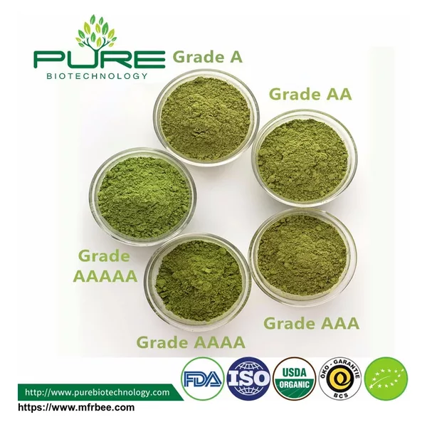 Organic Matcha Tea Powder