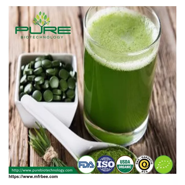 Organic Natural Chlorella Powder
