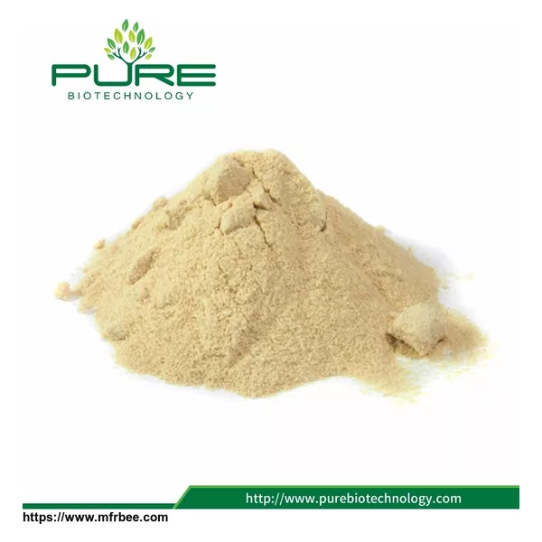 Natural Sea Buckthorn Berry Powder Extract