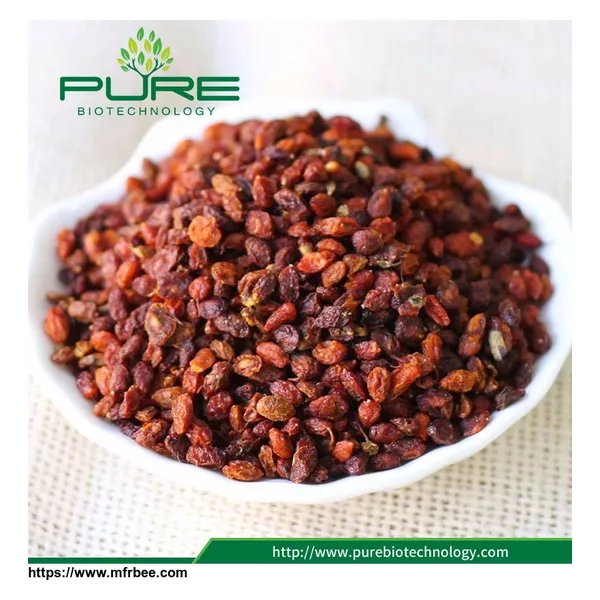 Raw Herbal Dried Sea Buckthorn Berries