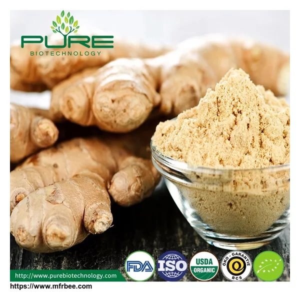 Organic Dried Ginger Powder