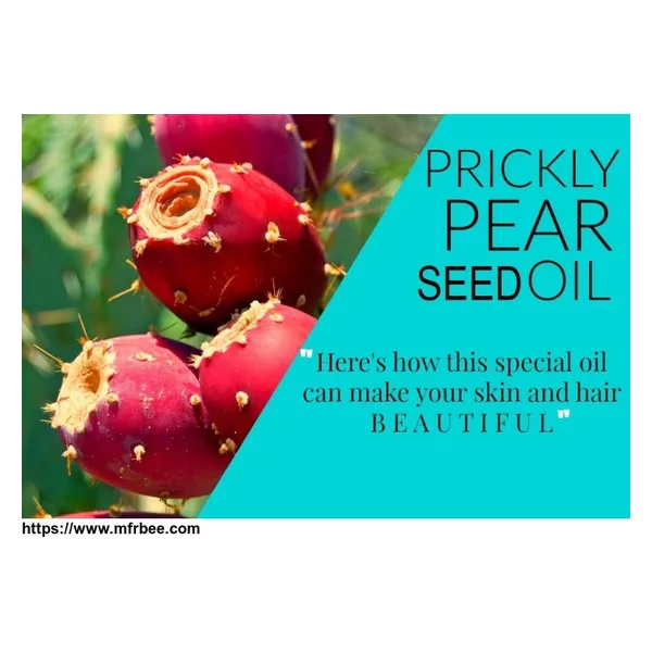 Prickly Pear Seed Oil Anti Aging