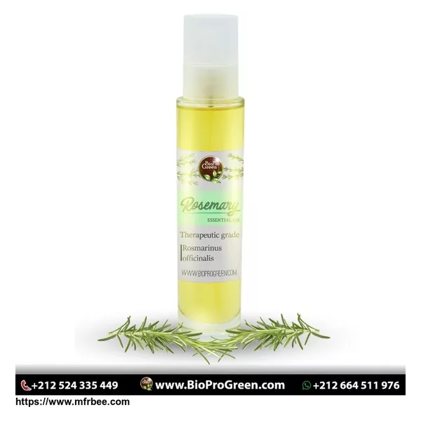 Rosemary herbs