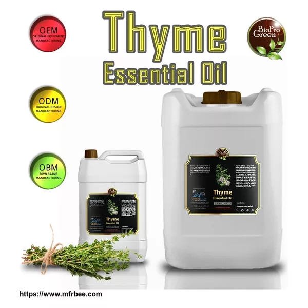 Thyme herbs