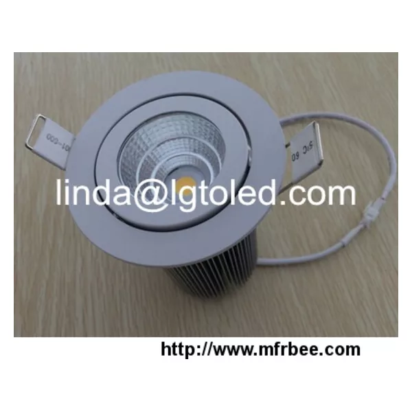 COB Led Ceiling light fixture
