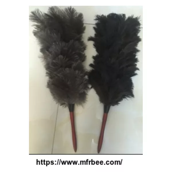 Ostrich feather duster