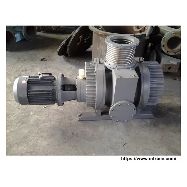 ZJ150 Roots Vacuum Pump