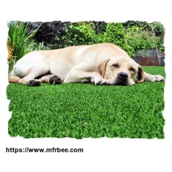 #306814 Pet Artificial Grass supplier