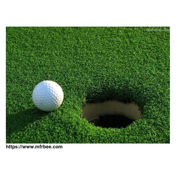 PP1531 Artificial Grass in Golf Putting Green supplier