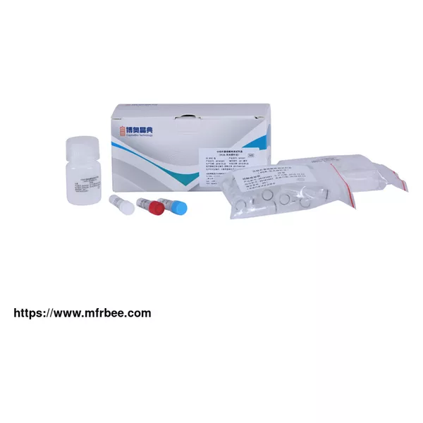 Mycobacteria Nucleic Acid Detection