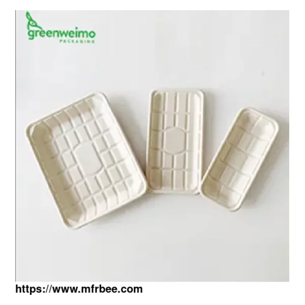Wholesale Bagasse Food Trays