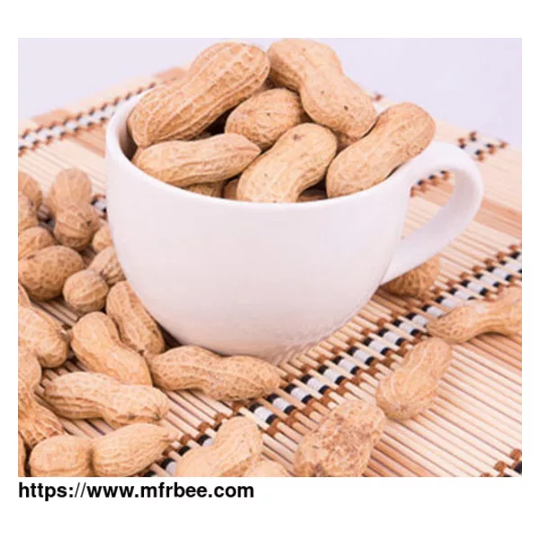 Chinese Peanuts for Sale