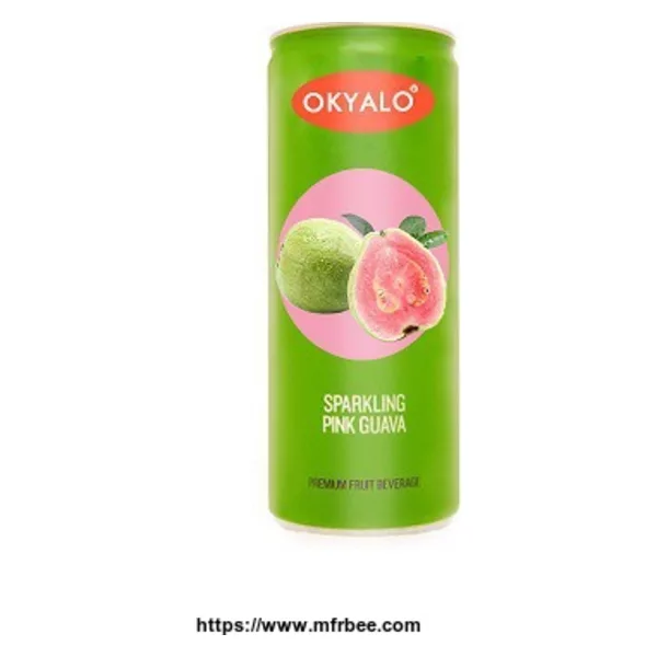 Okyalo 250ML Organic Guava Fruit Juice, Okeyfood