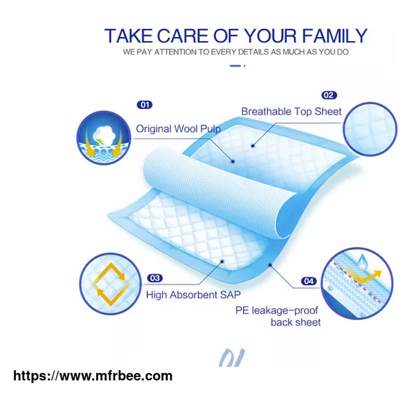 Elders Diapers Medical Disposable