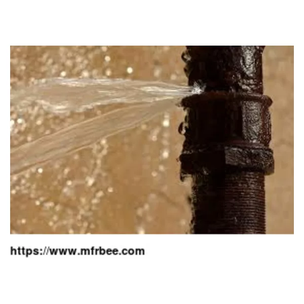 Coral Springs Restoration Expert