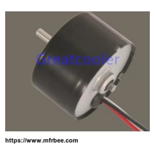 36mm Brushless DC Motors WBDM3625