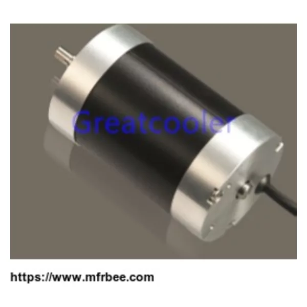56mm Brushless DC Motors WBDM56100