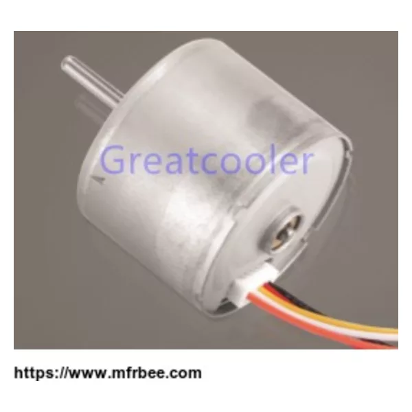 24mm Brushless DC Motors WBDM2419