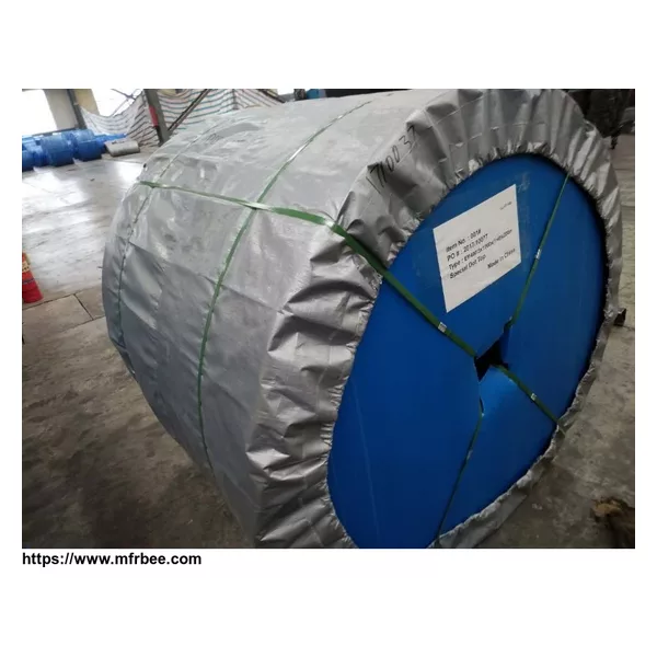 Multi-ply fabric conveyor belt