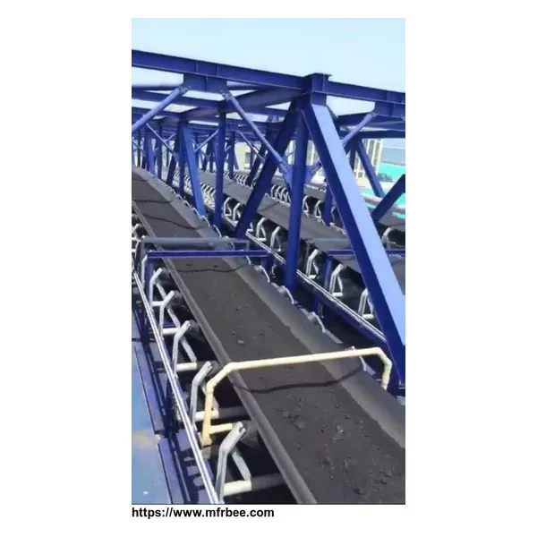 Chevron conveyor belt