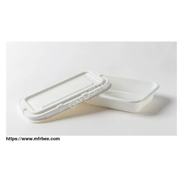 Disposable Tray