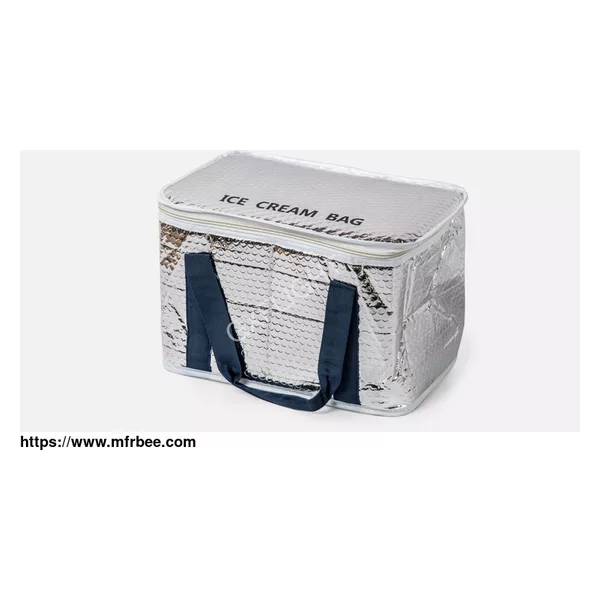 Ice Cooler Bag
