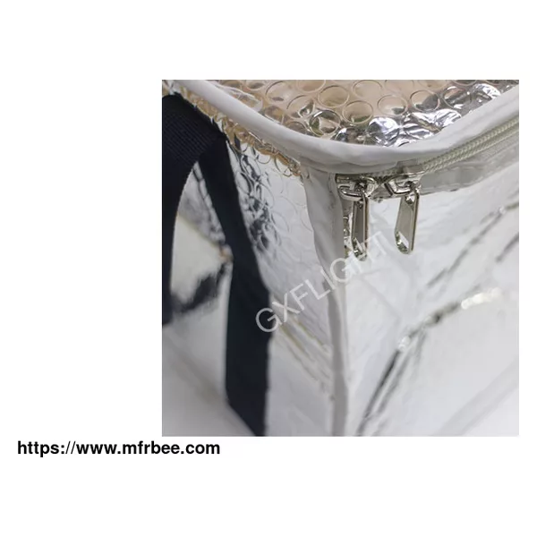 Airline Insulated Aluminum Foil Ice Cooler Bag