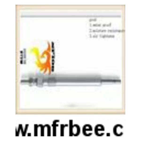 Jaguar Glow Plug 0250203004