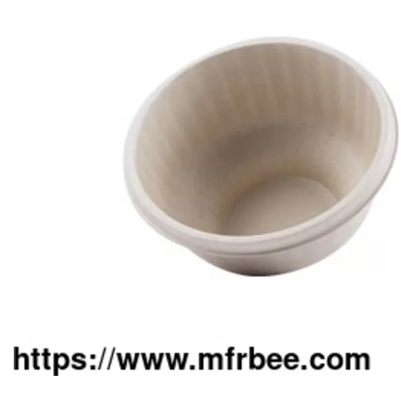 Eco Friendly Disposable & Biodegradable Bowl