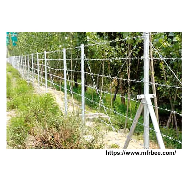 Barbed Wire Fence