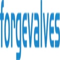 Forged valves