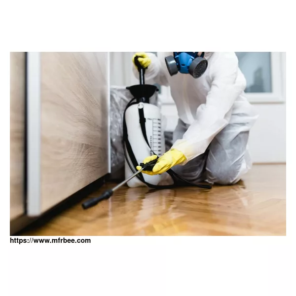 Pest Control Victoria Point