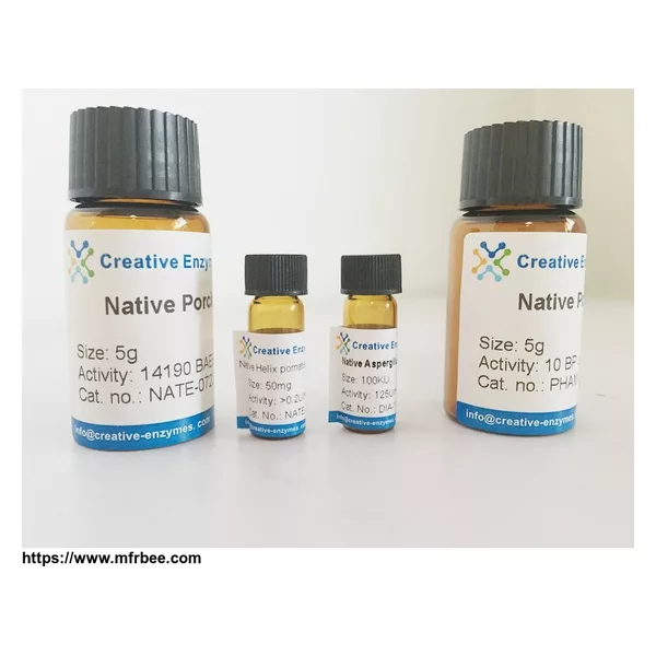 Native Papaya latex Papain