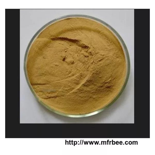 Cinnamon Extract
