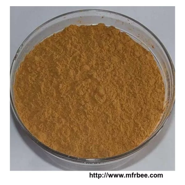 Chinese Angelica Extract