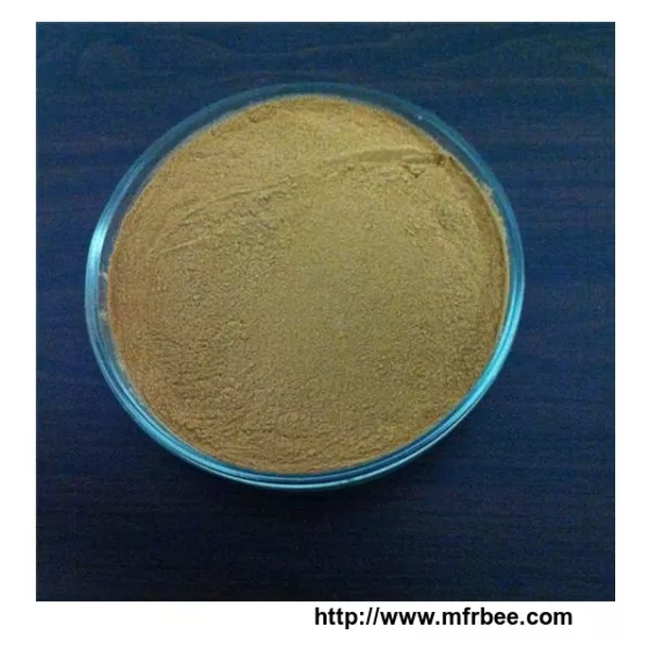 Chicory Extract