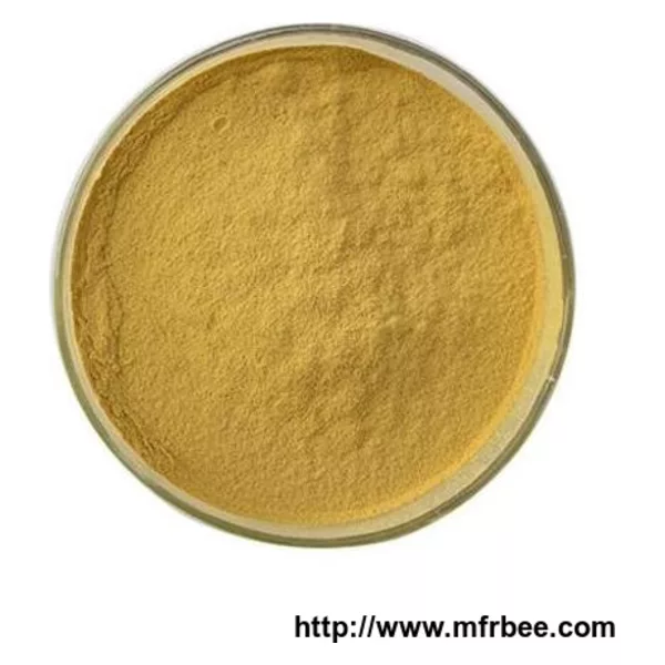Astragalus Extract