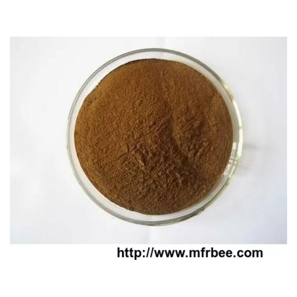 Chasteberry Extract