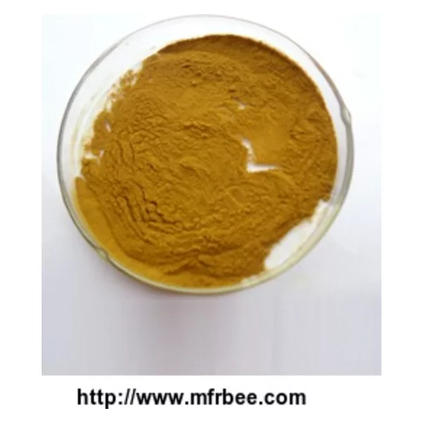 Danshen Extract