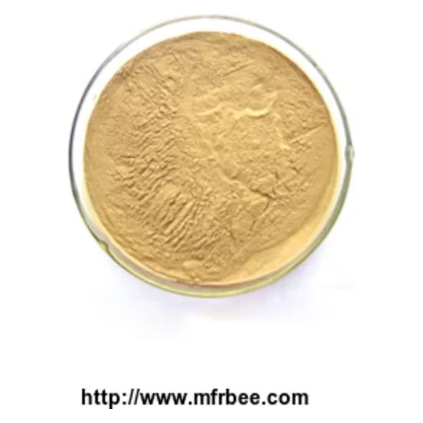 Ginger Extract