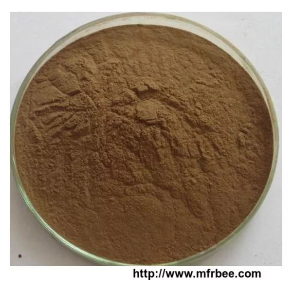 Shitake Mushroom Extract
