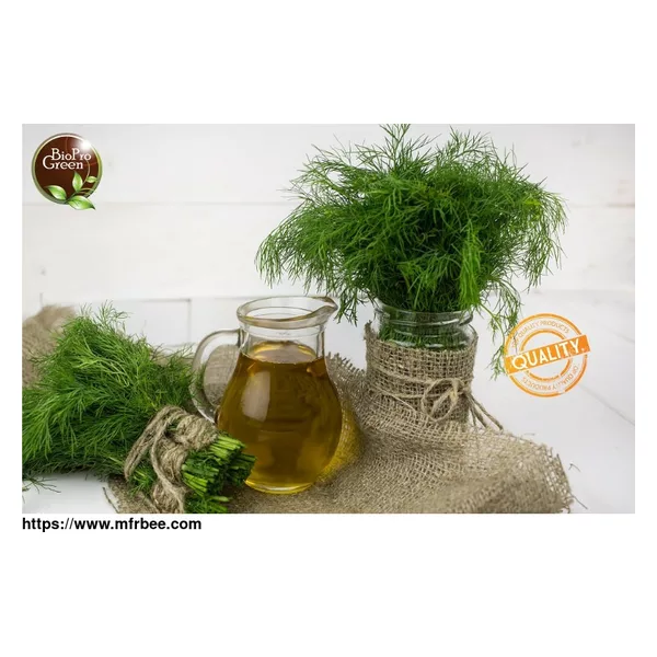 Quality Vegetable Oils Supplier For Wholesale And Semi In Morocco - Morocco
