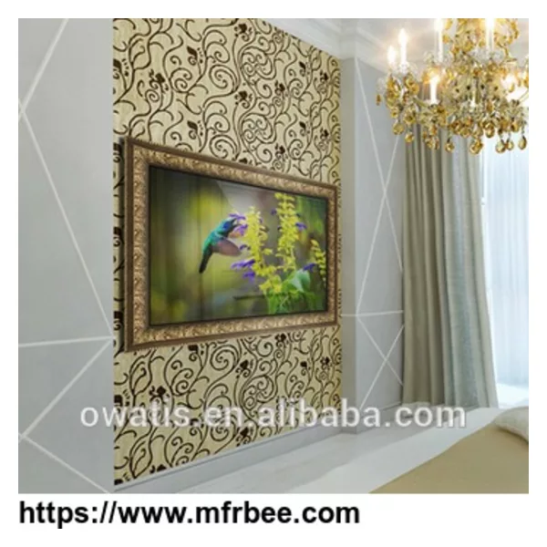 55 Inch Living Room Mirror Frame TV