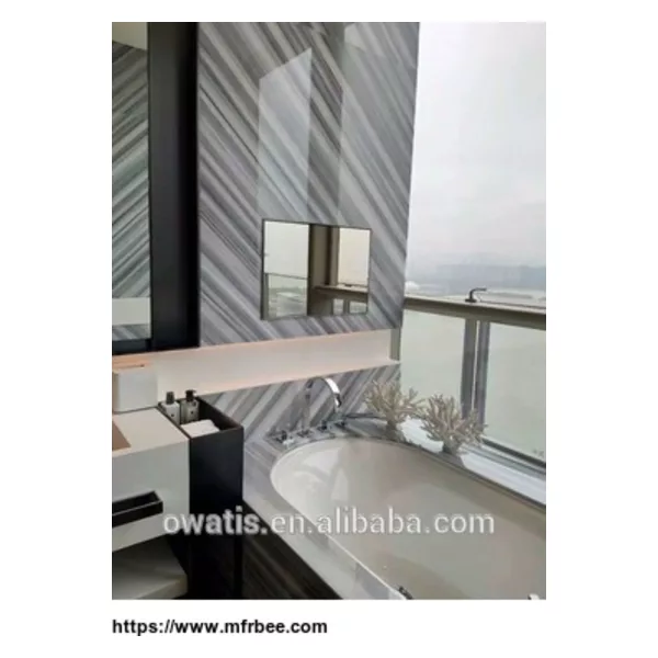 19 Inch Waterproof Bathroom TV