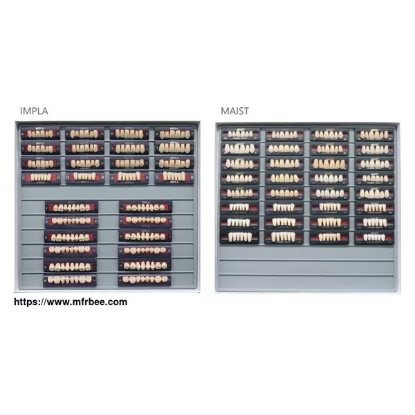 Teeth Living Mould Guide