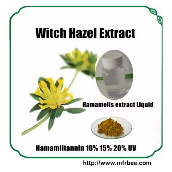 Hamamelis Extract