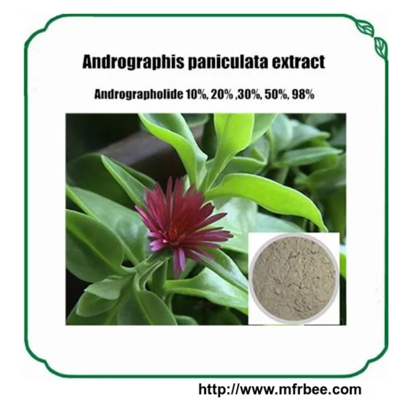 Andrographis Paniculata Extract