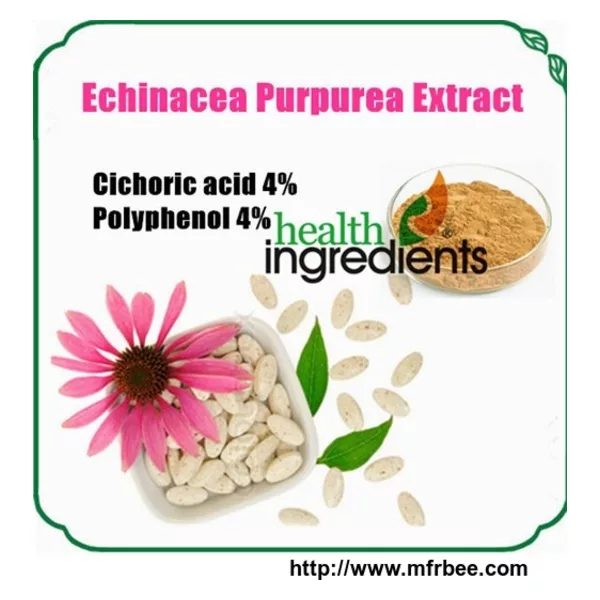 Echinacea Purpurea Extract