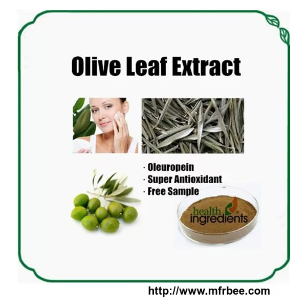 Olive Leaf Extract