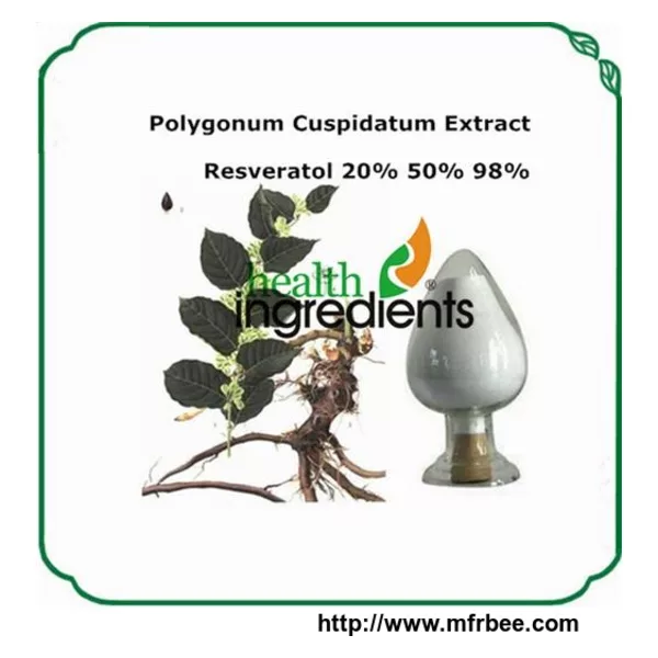Polygonum Cuspidatum P.E